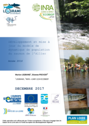 Icon of Développement et mise à jour du modèle de dynamique de population du saumon de l’Allier - Année 2016